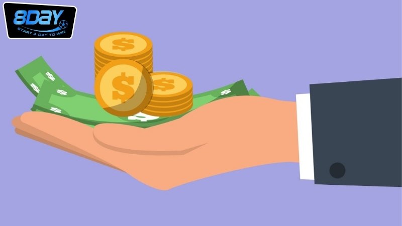 Chính sách khuyến mãi và ưu đãi của 8day