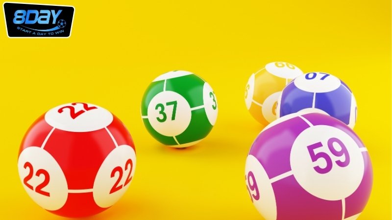 Hướng dẫn nuôi đề theo ngày 8day - Kinh nghiệm đỉnh cao 4 Lưu ý quan trọng khi áp dụng hướng dẫn nuôi đề theo ngày 8day